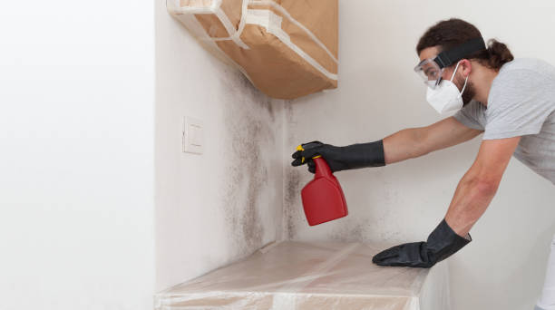 Professional Crawl Space Mold Remediation technician working in Breezewood, PA