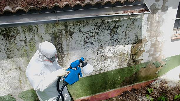 Top rated local Crawl Space Mold Remediation specialists in Breezewood, PA